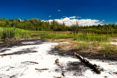 Jan-Stojan-©-600-A0001436