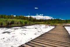 Jan-Stojan-©-600-A0001471