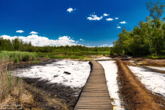 Jan-Stojan-©-600-A0001620