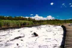 Jan-Stojan-©-600-A0001635