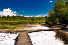 Jan-Stojan-©-600-A0001640