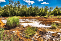 Jan-Stojan-©-600-A0001695