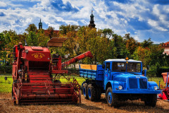 07-jan-stojan-201-imgp0825