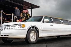 A0044346-©-Jan-Stojan-©