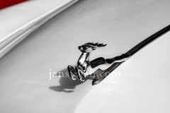 A0054901-©-Jan-Stojan-©