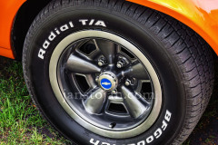 A0054918-©-Jan-Stojan-©