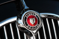 A0055042-©-Jan-Stojan-©