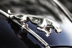 A0055043-©-Jan-Stojan-©