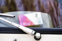 A0055134-©-Jan-Stojan-©