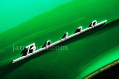 A0055146-©-Jan-Stojan-©