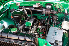 A0055148-©-Jan-Stojan-©