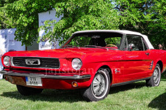 A0055229-©-Jan-Stojan-©