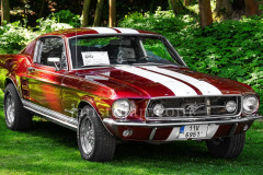 A0055301-©-Jan-Stojan-©