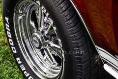 A0055322-©-Jan-Stojan-©