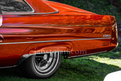 A0055455-©-Jan-Stojan-©