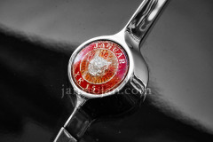 A0055484-©-Jan-Stojan-©