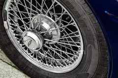 A0055486-©-Jan-Stojan-©