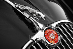 A0055500-©-Jan-Stojan-©