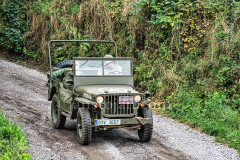 8-A0063742-©-Jan-Stojan-©