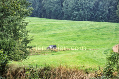 A0063446-©-Jan-Stojan-©