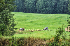 A0063625-©-Jan-Stojan-©