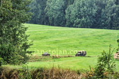 A0063734-©-Jan-Stojan-©