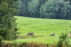 A0063736-©-Jan-Stojan-©