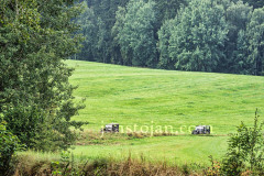 A0063737-©-Jan-Stojan-©