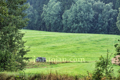 A0063874-©-Jan-Stojan-©