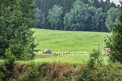 A0064149-©-Jan-Stojan-©