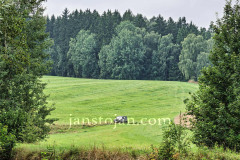 A0064150-©-Jan-Stojan-©