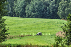 A0064411-©-Jan-Stojan-©