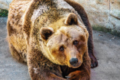 B4253547-©-Jan-Stojan-©