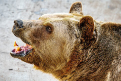 B4253573-©-Jan-Stojan-©